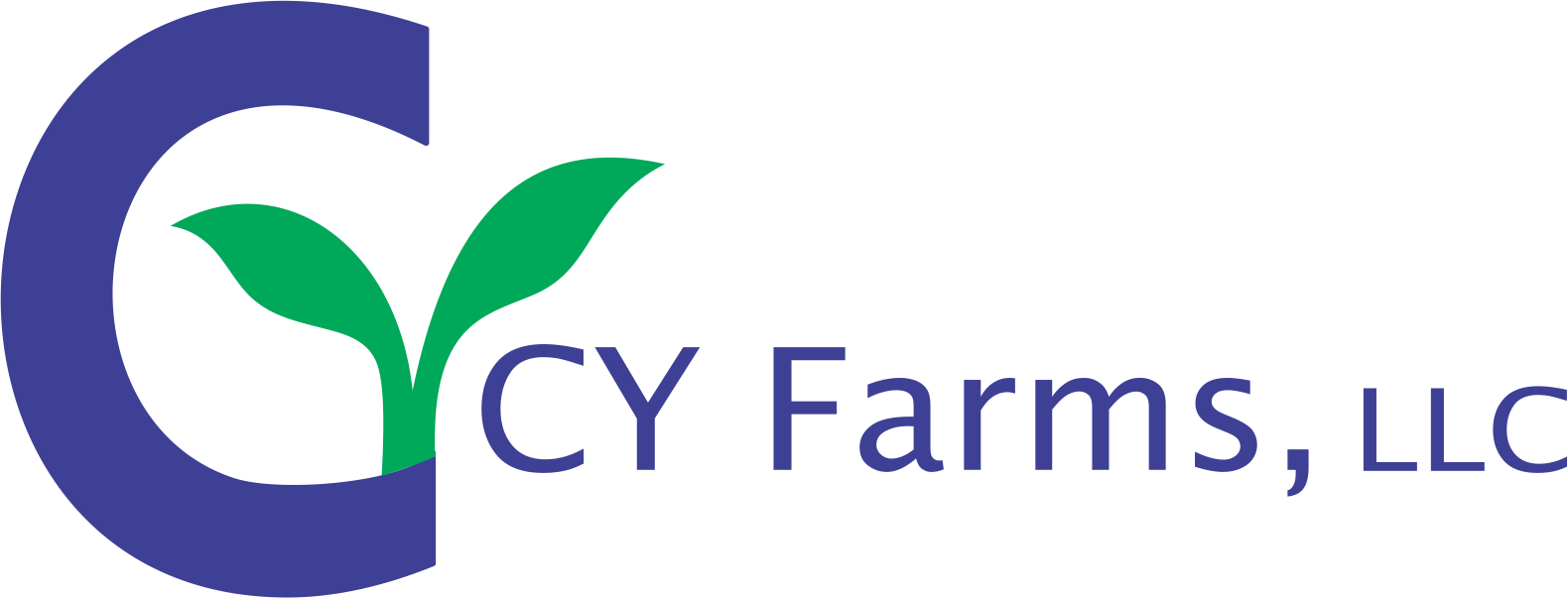 CY Logo